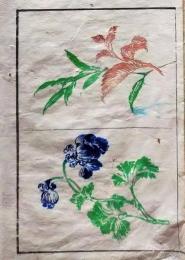 D26051908〇一枚摺物 彩色木版画  花 おだまき   蕙斎麁画５巻抜粋〇和本古書古文書