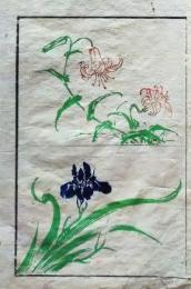 D26051916〇一枚摺物 彩色木版画  百合 あやめ  蕙斎麁画５巻抜粋〇和本古書古文書