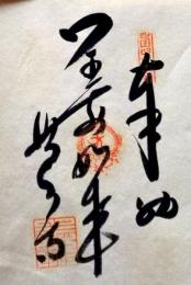 D26040646〇御納経御朱印大判和紙 奉納経 弘法大師御誕生1200年記念 46番札所 昭和49年 浄瑠璃寺 愛媛県松山市浄瑠璃町２８２