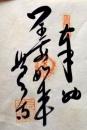 D26040646〇御納経御朱印大判和紙 奉納経 弘法大師御誕生1200年記念 46番札所 昭和49年 浄瑠璃寺 愛媛県松山市浄瑠璃町２８２