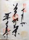 D26040650〇御納経御朱印大判和紙 奉納経 弘法大師御誕生1200年記念 50番札所 昭和49年 繁多寺 愛媛県松山市畑寺 町３２