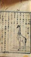 D26071415〇明治時代教科書 和紙和本  初学須知   巻５中 １冊 明治年代〇和本古書古文書