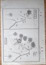 D26072015〇銅版画 日本合戦図 赤阪前役 赤阪後役 楠木正成 赤坂城の戦い 日本外史 明治初年 １枚〇和本古書古文書	