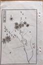 D26072030〇銅版画 日本合戦図 韮崎合戦の図 武田信虎VS甲斐国衆と信濃諏訪氏連合軍の戦い 日本外史 明治初年〇和本古書古文書