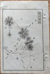D26072032〇銅版画 日本合戦図 碓氷峠合戦の図 笛吹峠 日本外史 明治初年 １枚〇和本古書古文書