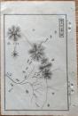 D26072032〇銅版画 日本合戦図 碓氷峠合戦の図 笛吹峠 日本外史 明治初年 １枚〇和本古書古文書
