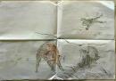 D26083114〇模写 直筆 鳥獣戯画 昭和年代〇和本古書古文書