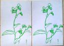 D26091605〇絵葉書 ２枚 竹久夢二 露草 昭和年代〇和本古書古文書