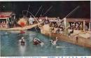 N26092677〇戦前絵葉書○岐阜県 長良川の鵜飼 夜間撮影　古写真○和本古書古文書