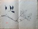 D26101607〇一枚摺物 彩色木版画   南天 文濤習画帖抜粋 絵手本(画帳) 明治４２年〇和本古書古文書