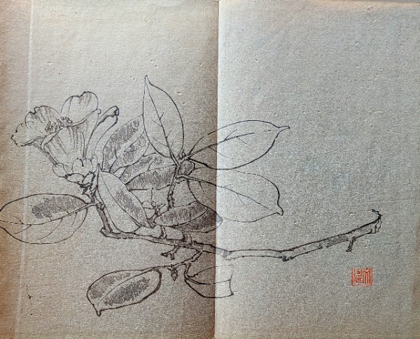 彩色木板刷に関係書物？　古い日本の書物 古文書 古書き 和式製本 古本 D26101613〇一枚摺物 彩色木版画 椿 文濤習画帖抜粋 絵手本(画帳) 明治