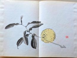 D26101909〇一枚摺物 彩色木版画  柚子  景年習画帖抜粋 今尾景年が描いた絵手本（画帳）昭和年代復刻〇和本古書古文書	