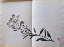 D261019210〇一枚摺物 彩色木版画  桔梗  景年習画帖第２編抜粋 今尾景年が描いた絵手本（画帳）昭和年代復刻〇和本古書古文書	