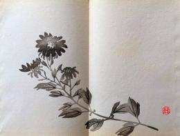 D261019212〇一枚摺物 彩色木版画  紺菊  景年習画帖第２編抜粋 今尾景年が描いた絵手本（画帳）昭和年代復刻〇和本古書古文書