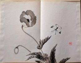 D261019303〇一枚摺物 彩色木版画  ひなげし  景年習画帖第２編抜粋 今尾景年が描いた絵手本（画帳）昭和年代復刻〇和本古書古文書	