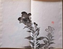 D261019305〇一枚摺物 彩色木版画  鷄冠花 ケイトウ 景年習画帖第２編抜粋 今尾景年が描いた絵手本（画帳）昭和年代復刻〇和本古書古文書