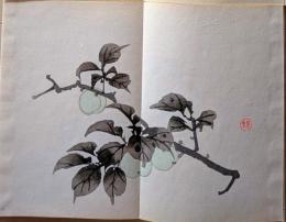 D261019306〇一枚摺物 彩色木版画  青梅 景年習画帖第２編抜粋 今尾景年が描いた絵手本（画帳）昭和年代復刻〇和本古書古文書	