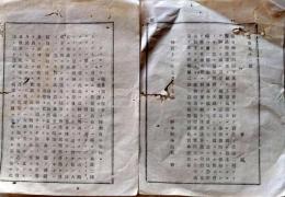 D25102303〇明治布告布達   東京神奈川害虫 図面２枚 明治１１年 栃木県〇和本古書古文書