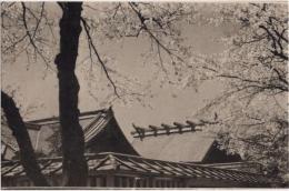 N25110634〇戦前絵葉書 ○靖国神社 本殿と拝殿 古写真 東京 ○和本古書古文書
