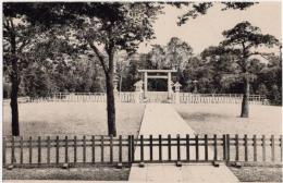 N25110635〇戦前絵葉書 ○靖国神社 招魂斎庭 古写真 東京 ○和本古書古文書
