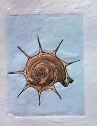 D25103112〇彩色木版画 ミニサイズ  サザエ  錦絵 浮世絵 昭和年代〇和本古書古文書