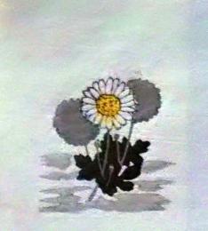 D25103009〇彩色木版画 ミニサイズ 菊 錦絵 浮世絵 昭和年代〇和本古書古文書