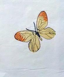 D25103015〇彩色木版画 ミニサイズ  蝶々 錦絵 浮世絵 昭和年代〇和本古書古文書