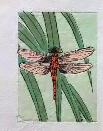 D25103018〇彩色木版画 ミニサイズ  トンボ  錦絵 浮世絵 昭和年代〇和本古書古文書