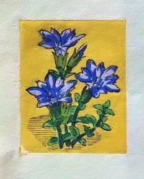 D25103033〇彩色木版画 ミニサイズ ミヤマリンドウ  錦絵 浮世絵 昭和年代〇和本古書古文書