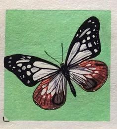 D25103067〇彩色木版画 ミニサイズ 蝶々 錦絵 浮世絵 昭和年代〇和本古書古文書