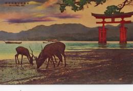 N25112601〇戦前絵葉書 ○安芸の宮島 夕照の大鳥居 安藝の宮島 広島県廿日市市 古写真 原色刷○和本古書古文書
