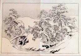 D25111075〇彩色木版画 日本名画鑑 田中茂一発行 丸山応挙筆  藤原鎌倉徳川時代 明治３３年〇和本古書古文書