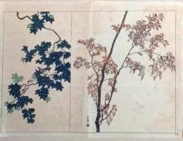 D25111079〇彩色木版画 日本名画鑑 田中茂一発行 藤原鎌倉徳川時代 明治３３年〇和本古書古文書