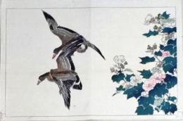 D25111080〇彩色木版画 日本名画鑑 田中茂一発行 藤原鎌倉徳川時代 明治３３年〇和本古書古文書