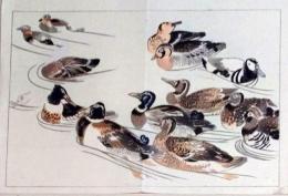 D25111081〇彩色木版画 日本名画鑑 田中茂一発行 藤原鎌倉徳川時代 明治３３年〇和本古書古文書