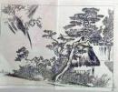D25111087〇彩色木版画 日本名画鑑 田中茂一発行 藤原鎌倉徳川時代 明治３３年〇和本古書古文書