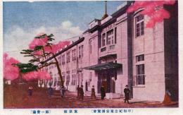 N25112611〇戦前絵葉書 ○平和記念東京博覧会 第一会場 東京館 大正11年 東京・上野公園 古写真 カラー○和本古書古文書
