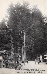 N25112668〇戦前絵葉書 ○高野山 奥の院聖域に入る一の橋　和歌山 古写真○和本古書古文書