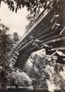 N25112681〇戦前絵葉書 ○山梨 大月 猿橋の奇観 猿橋肘木の構造 日本三大奇橋　古写真○和本古書古文書
