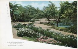 N25120605〇戦前絵葉書 ○金沢 兼六園 躑躅(つつじ)花及杜若(かきつばた)花の美観　石川県 古写真 カラー○和本古書古文書
