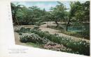 N25120605〇戦前絵葉書 ○金沢 兼六園 躑躅(つつじ)花及杜若(かきつばた)花の美観　石川県 古写真 カラー○和本古書古文書
