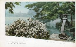 N25120606〇戦前絵葉書 ○金沢 兼六園 徽軫灯篭(ことじとうろう)　石川県 古写真 カラー○和本古書古文書
