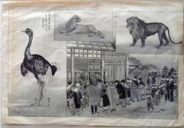 D25112811〇印刷 絵画 明治年代〇和本古書古文書