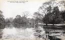 N25120653〇戦前絵葉書 ○香川県 栗林公園 北庭 芙蓉沼　高松市 古写真 ○和本古書古文書
