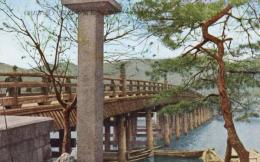 N25120655〇戦前絵葉書 ○滋賀県 近江八景 瀬田の唐橋　琵琶湖周辺 古写真 ○和本古書古文書
