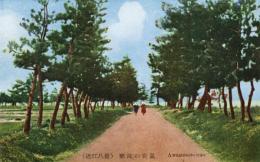 N25120656〇戦前絵葉書 ○滋賀県 近江八景 粟津の晴嵐　琵琶湖周辺 絵葉書 ○和本古書古文書
