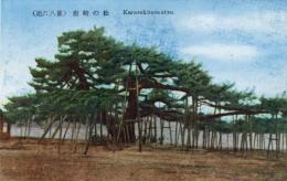 N25120658〇戦前絵葉書 ○滋賀県 近江八景 唐崎の松　琵琶湖周辺 古写真 ○和本古書古文書
