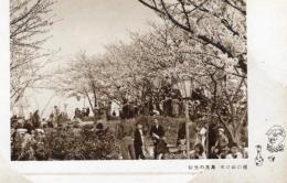 N25120668〇戦前絵葉書 ○岡山県 観光の玉島 桜の山の木　旧玉島市 現在は倉敷市 古写真○和本古書古文書
