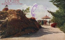 N25120676〇戦前絵葉書 ○徳島 鳴門名所 観潮場　古写真○和本古書古文書