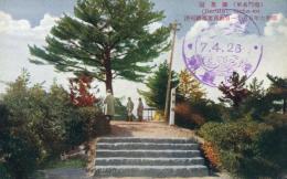 N25120679〇戦前絵葉書 ○徳島 鳴門名所 御茶園展望台　古写真○和本古書古文書